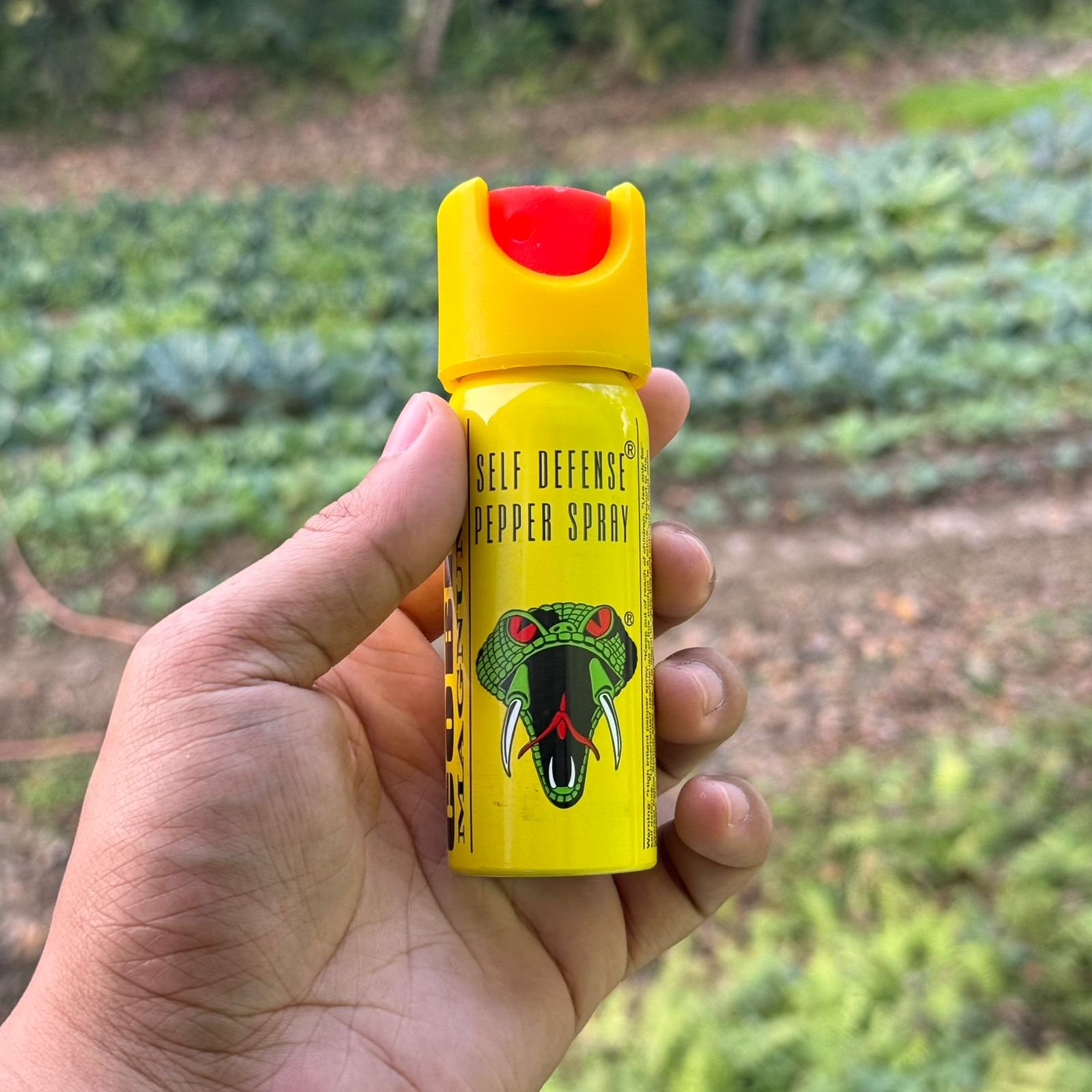 Most Effective Pepper Spray in India for Self Defense Most Effective Pepper Spray in India for Self Defense